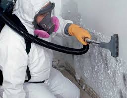 Best Mold Odor Removal Services in Keansburg, NJ